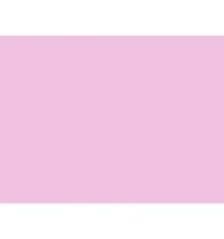 039 Pink carnation