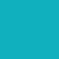 727 QFD Blue