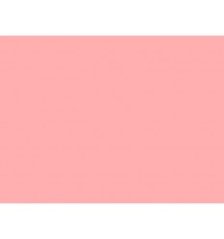 109 Light salmon