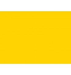 101 Yellow