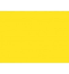100 Spring yellow