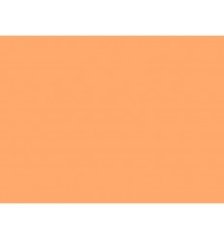 147 Apricot