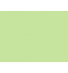 138 Pale green