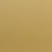 R2 Soft Goldspiegel
