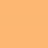204 Voll-CT Orange