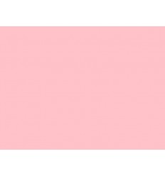 153 Pale Salmon 153 Pale Salmon