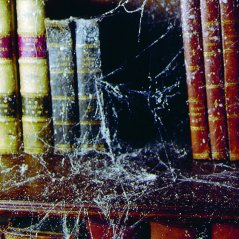 COBWEB Effect 300 ml pavučina