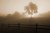 Light dimming