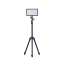 amaran Pano 60c 2-Light Kit - Charcoal