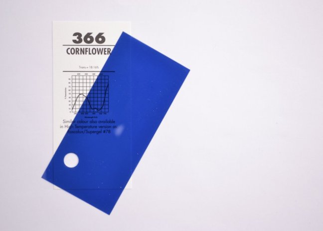 366 Cornflower
