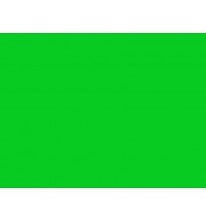 122 Fern green