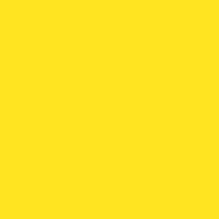 100 Spring Yellow