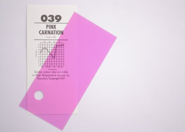 039 Pink carnation